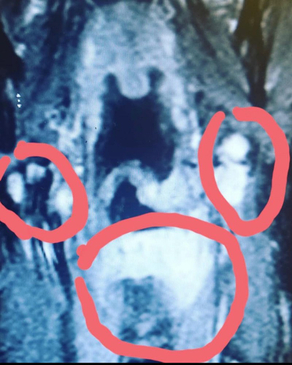 Slider image (5) Renda Clinic Turkey